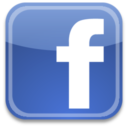 Visit Dinonauts on Facebook
